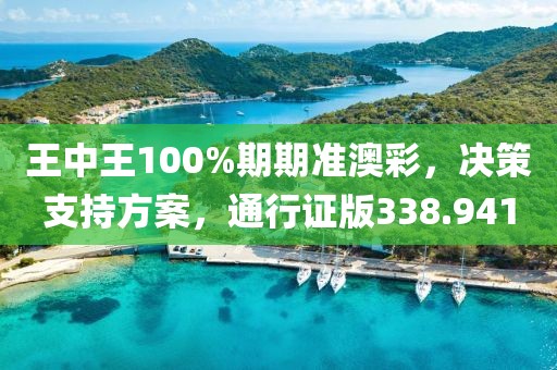 王中王100%期期準(zhǔn)澳彩，決策支持方案，通行證版338.941