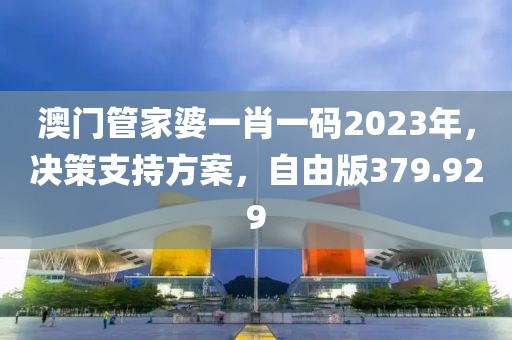 澳門管家婆一肖一碼2023年，決策支持方案，自由版379.929