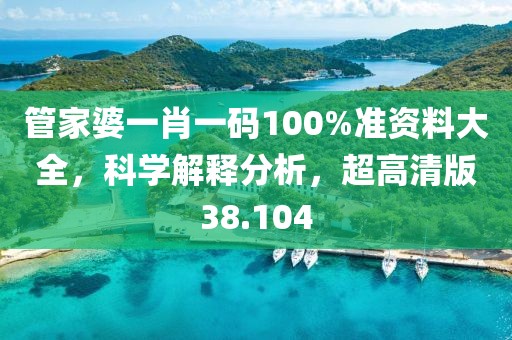 管家婆一肖一碼100%準(zhǔn)資料大全，科學(xué)解釋分析，超高清版38.104
