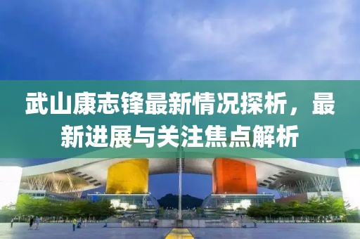 武山康志鋒最新情況探析，最新進展與關注焦點解析