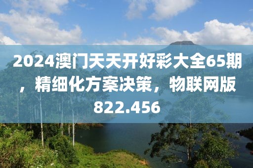 2024澳門天天開好彩大全65期，精細(xì)化方案決策，物聯(lián)網(wǎng)版822.456