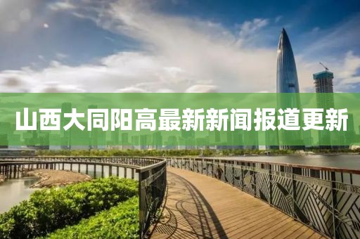 山西大同陽高最新新聞報道更新