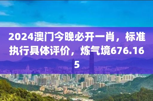 2024澳門今晚必開一肖，標(biāo)準(zhǔn)執(zhí)行具體評價，煉氣境676.165