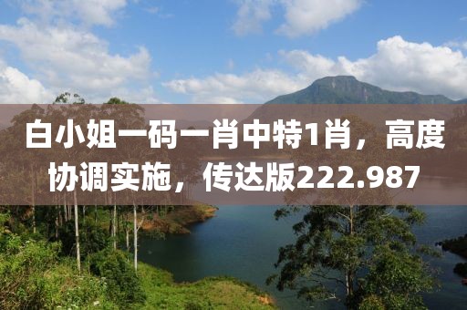酒伴孤獨 第44頁