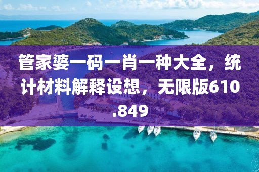 管家婆一碼一肖一種大全，統(tǒng)計(jì)材料解釋設(shè)想，無限版610.849