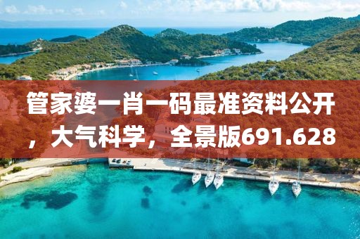 管家婆一肖一碼最準資料公開，大氣科學，全景版691.628
