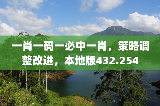 一肖一碼一必中一肖，策略調(diào)整改進(jìn)，本地版432.254