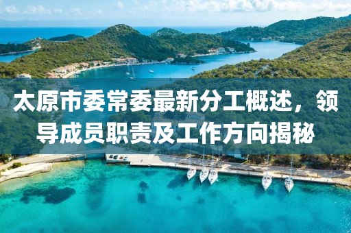 太原市委常委最新分工概述，領(lǐng)導(dǎo)成員職責(zé)及工作方向揭秘
