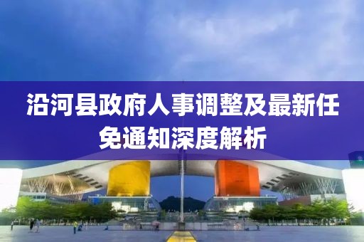 沿河縣政府人事調整及最新任免通知深度解析