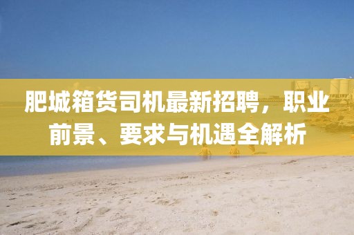 肥城箱貨司機最新招聘，職業(yè)前景、要求與機遇全解析