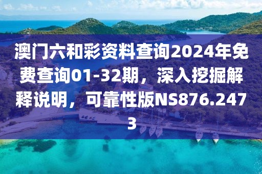 澳門六和彩資料查詢2024年免費(fèi)查詢01-32期，深入挖掘解釋說明，可靠性版NS876.2473