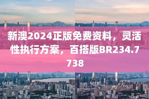 新澳2024正版免費(fèi)資料，靈活性執(zhí)行方案，百搭版BR234.7738