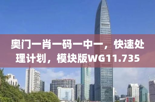 奧門一肖一碼一中一，快速處理計劃，模塊版WG11.735