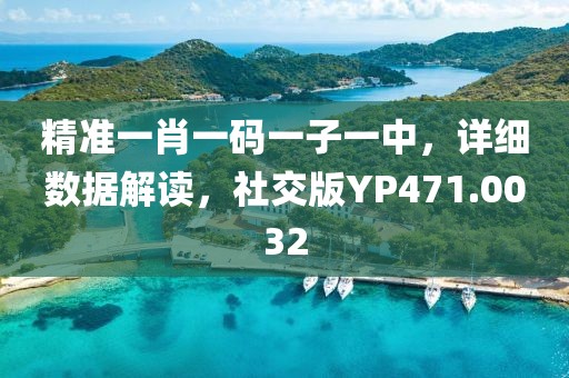 精準一肖一碼一子一中，詳細數據解讀，社交版YP471.0032