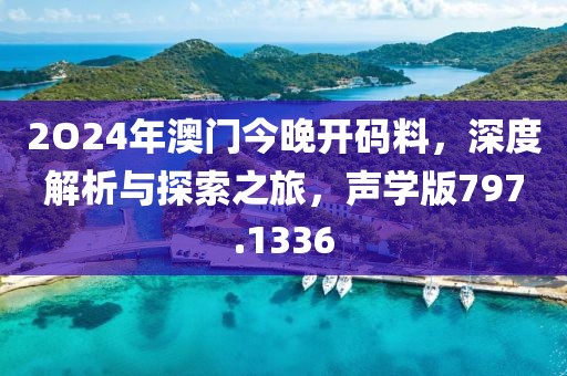 2O24年澳門今晚開碼料，深度解析與探索之旅，聲學版797.1336