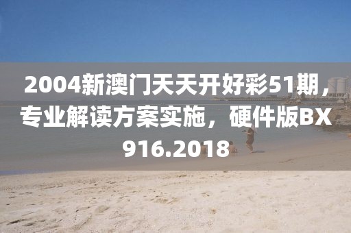 2004新澳門(mén)天天開(kāi)好彩51期，專業(yè)解讀方案實(shí)施，硬件版BX916.2018