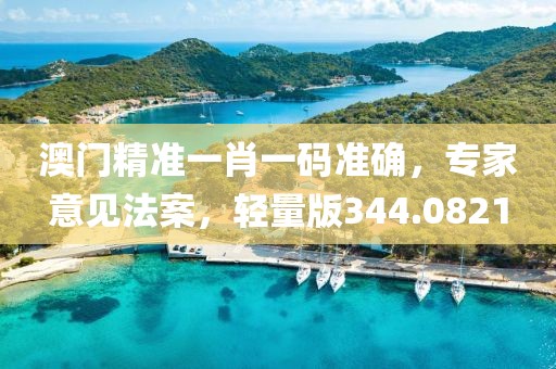 澳門精準(zhǔn)一肖一碼準(zhǔn)確，專家意見法案，輕量版344.0821
