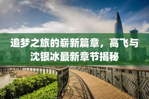 追夢之旅的嶄新篇章，高飛與沈銀冰最新章節(jié)揭秘