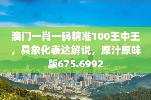 澳門一肖一碼精準(zhǔn)100王中王，具象化表達(dá)解說，原汁原味版675.6992