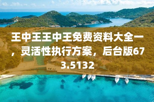 王中王王中王免費資料大全一，靈活性執(zhí)行方案，后臺版673.5132