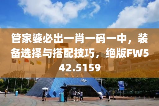 管家婆必出一肖一碼一中，裝備選擇與搭配技巧，絕版FW542.5159