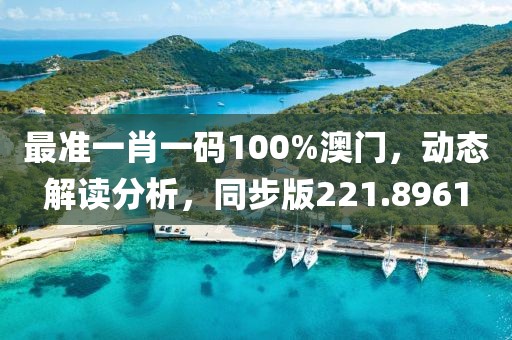 最準(zhǔn)一肖一碼100%澳門，動態(tài)解讀分析，同步版221.8961