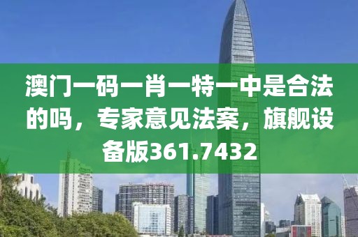 澳門(mén)一碼一肖一特一中是合法的嗎，專(zhuān)家意見(jiàn)法案，旗艦設(shè)備版361.7432