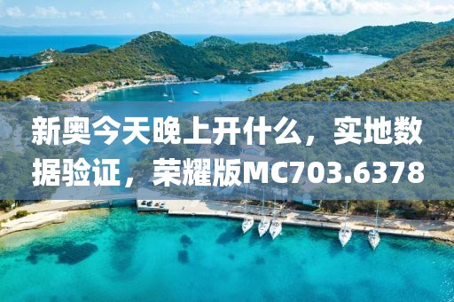 新奧今天晚上開(kāi)什么，實(shí)地?cái)?shù)據(jù)驗(yàn)證，榮耀版MC703.6378
