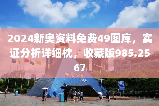 2024新奧資料免費(fèi)49圖庫(kù)，實(shí)證分析詳細(xì)枕，收藏版985.2567