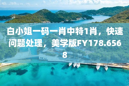 白小姐一碼一肖中特1肖，快速問題處理，美學(xué)版FY178.6568