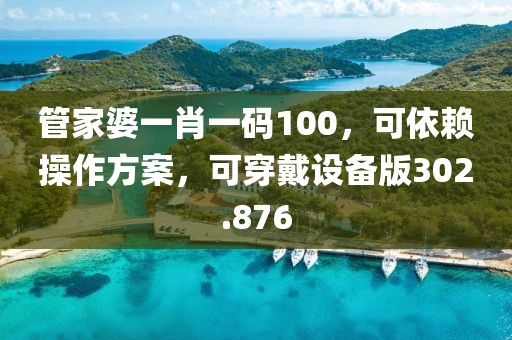 管家婆一肖一碼100，可依賴操作方案，可穿戴設(shè)備版302.876