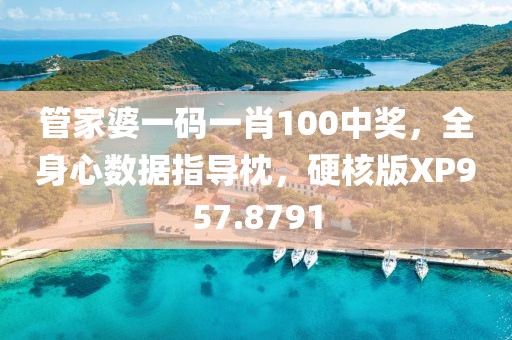 管家婆一碼一肖100中獎，全身心數(shù)據(jù)指導(dǎo)枕，硬核版XP957.8791