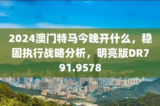 2024澳門特馬今晚開什么，穩(wěn)固執(zhí)行戰(zhàn)略分析，明亮版DR791.9578