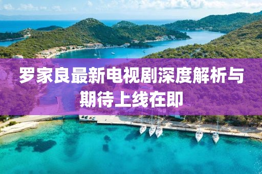 羅家良最新電視劇深度解析與期待上線(xiàn)在即