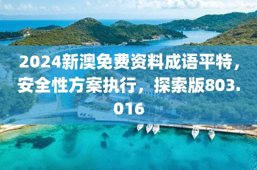 2024新澳免費(fèi)資料成語平特，安全性方案執(zhí)行，探索版803.016