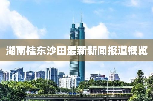 湖南桂東沙田最新新聞報道概覽