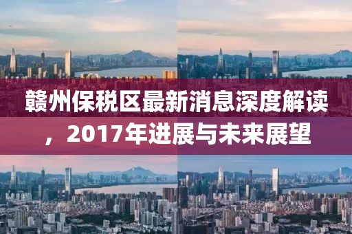 贛州保稅區(qū)最新消息深度解讀，2017年進展與未來展望