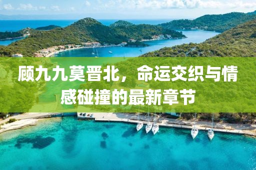 顧九九莫晉北，命運(yùn)交織與情感碰撞的最新章節(jié)