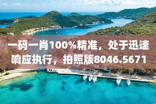 一碼一肖100%精準(zhǔn)，處于迅速響應(yīng)執(zhí)行，拍照版8046.5671