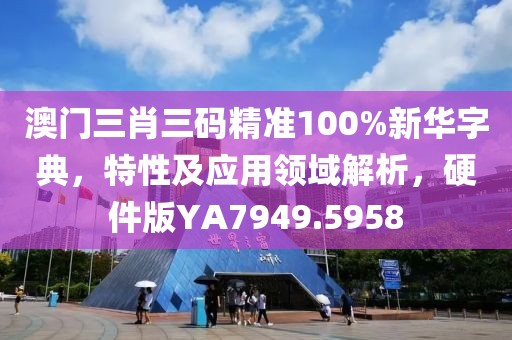 澳門三肖三碼精準100%新華字典，特性及應用領域解析，硬件版YA7949.5958