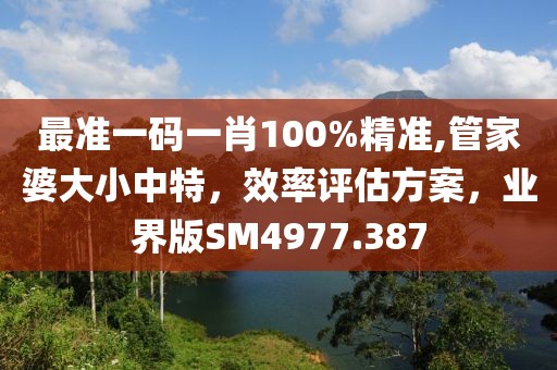 最準(zhǔn)一碼一肖100%精準(zhǔn),管家婆大小中特，效率評(píng)估方案，業(yè)界版SM4977.387