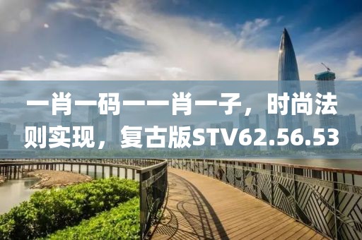 一肖一碼一一肖一子，時尚法則實現(xiàn)，復古版STV62.56.53
