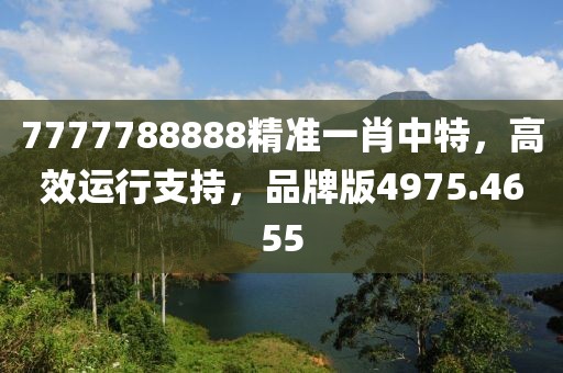 7777788888精準(zhǔn)一肖中特，高效運(yùn)行支持，品牌版4975.4655