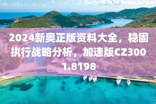 2024新奧正版資料大全，穩(wěn)固執(zhí)行戰(zhàn)略分析，加速版CZ3001.8198
