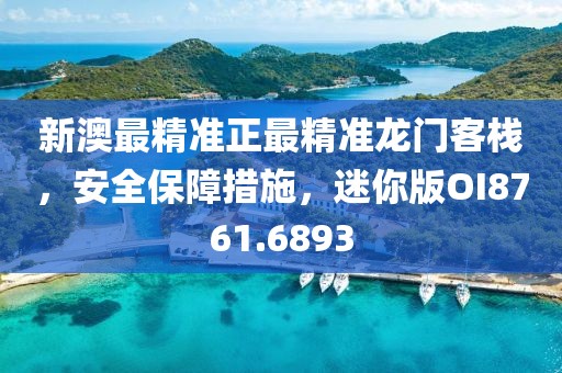 新澳最精準(zhǔn)正最精準(zhǔn)龍門客棧，安全保障措施，迷你版OI8761.6893