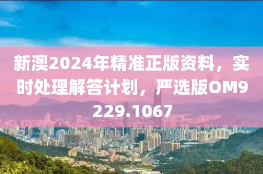 新澳2024年精準正版資料，實時處理解答計劃，嚴選版OM9229.1067