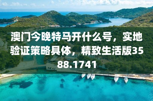 澳門(mén)今晚特馬開(kāi)什么號(hào)，實(shí)地驗(yàn)證策略具體，精致生活版3588.1741
