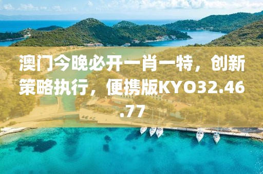 澳門今晚必開一肖一特，創(chuàng)新策略執(zhí)行，便攜版KYO32.46.77