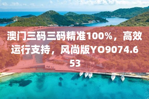 澳門三碼三碼精準(zhǔn)100%，高效運(yùn)行支持，風(fēng)尚版YO9074.653