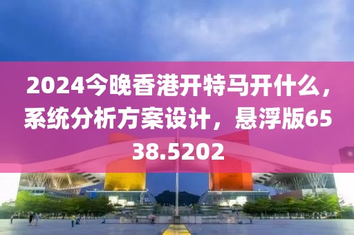 2024今晚香港開特馬開什么，系統(tǒng)分析方案設(shè)計(jì)，懸浮版6538.5202